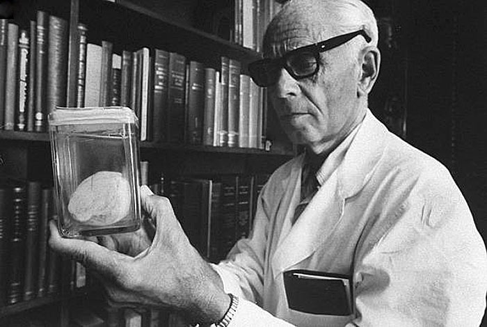 ���� ����� (Hans Selye), �������� � �������