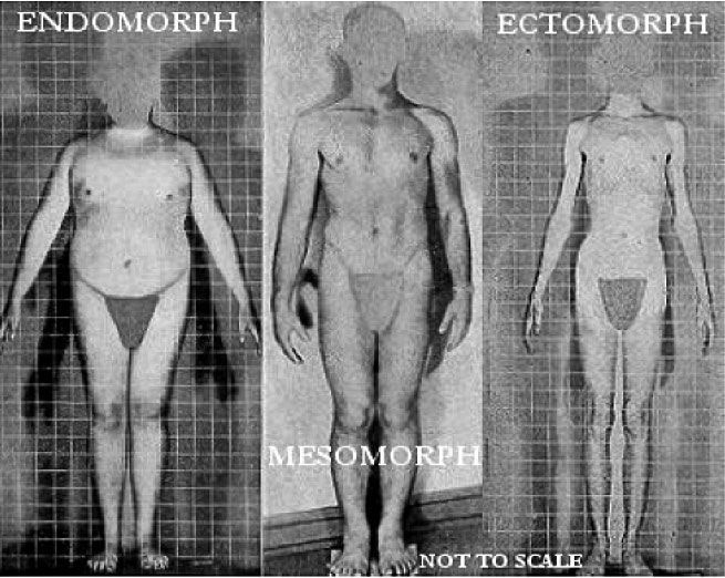 ������������������ ��������� �������