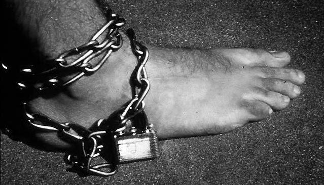 ����������� ��������