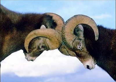 ���������� �����