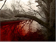 ������, ������������