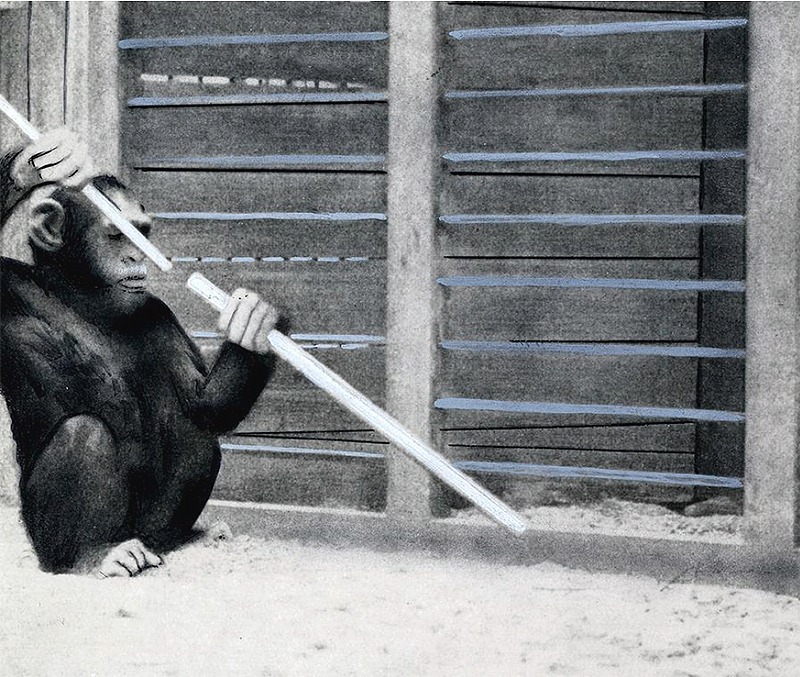 �������� ������ � ������������ ���������� ʸ����