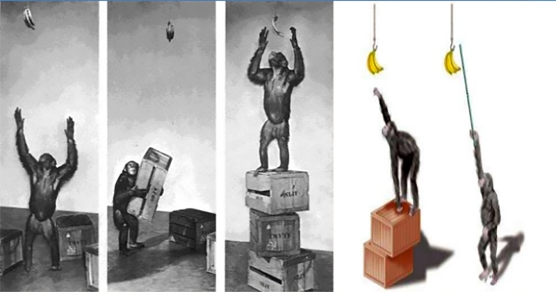 ����� ���������� ����� (Wolfgang Kohler) � ���������� ��������