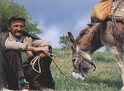 ���������� �������� ����� ����