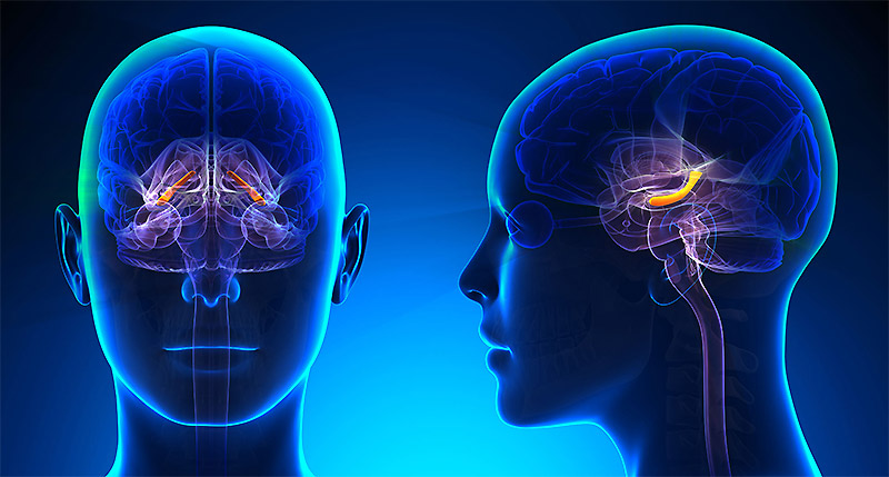 ������ ����������