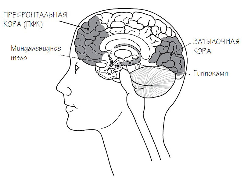 ���������� ���� � ������������� ����