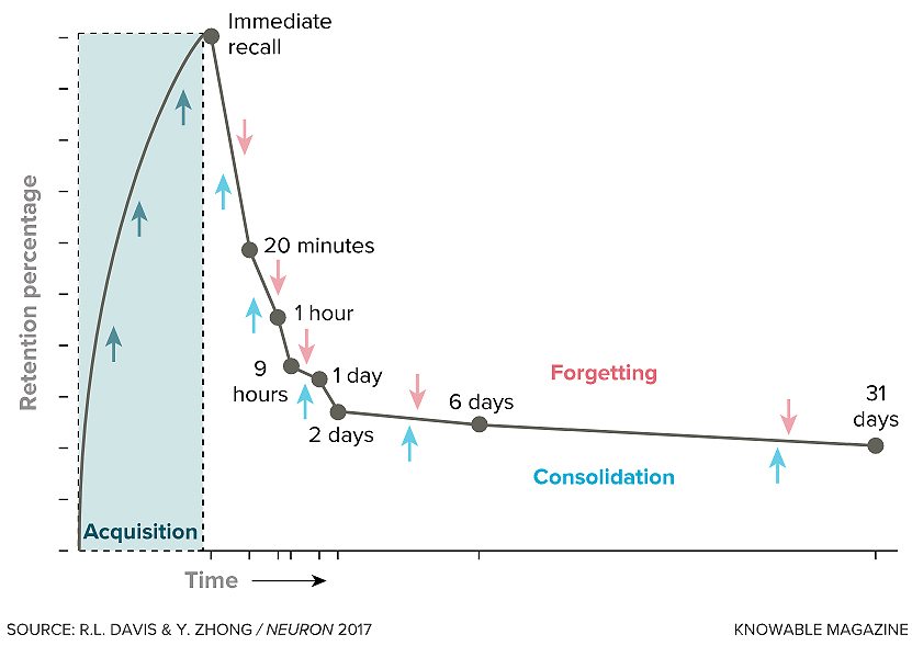 ������ ��������� ����������