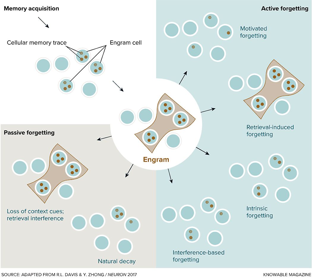 ��������� ���������