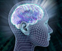 ������������ ������