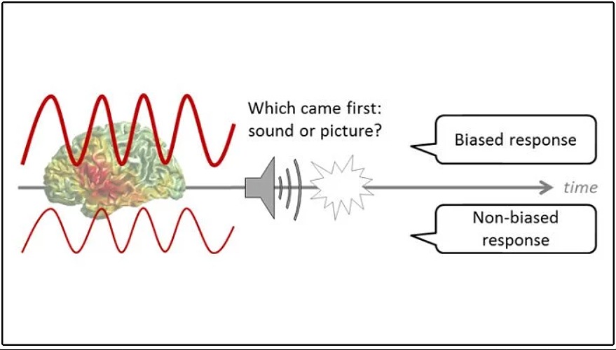 �����-����� � �����