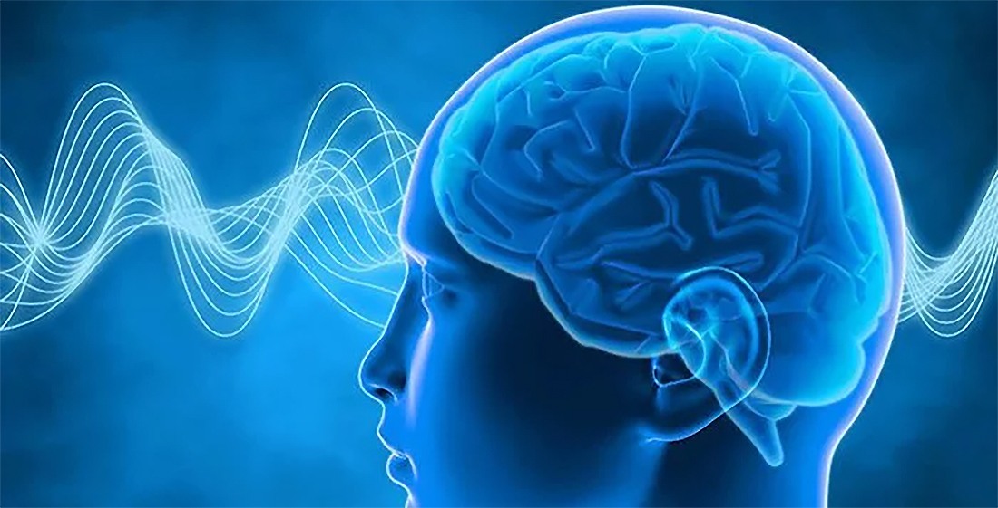 ������������ �������� � ����