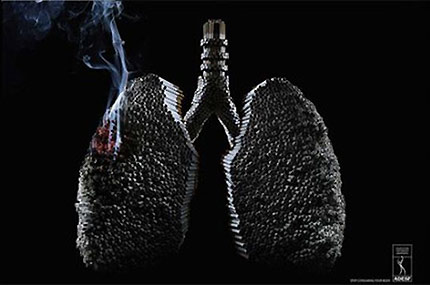 �������� �����������