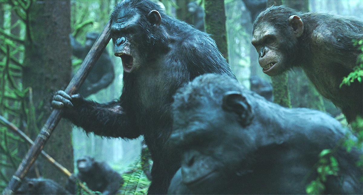 ����� �������