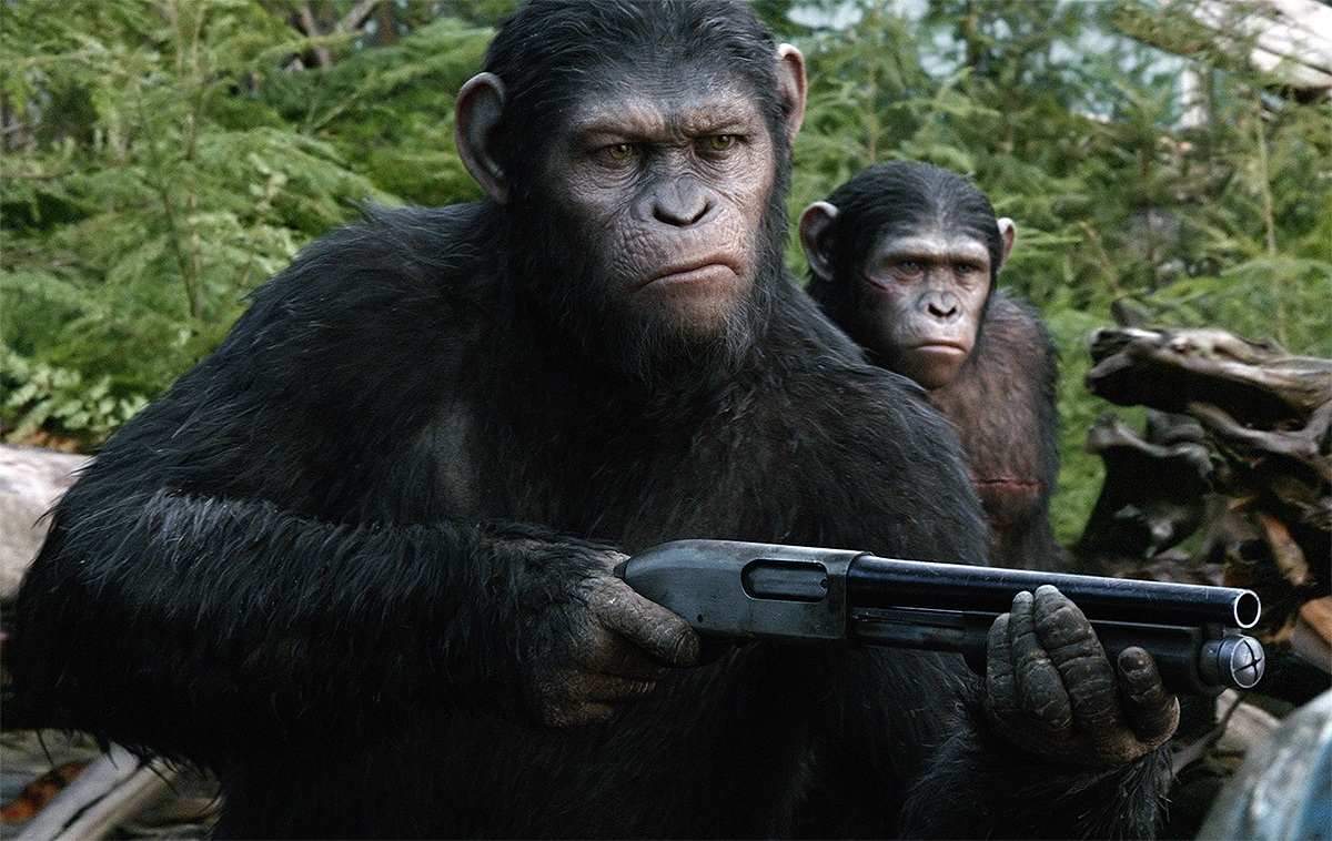 ����� �������