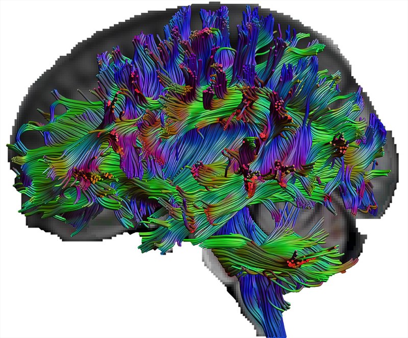 �������� � ����