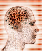 ������� ����� �� ������