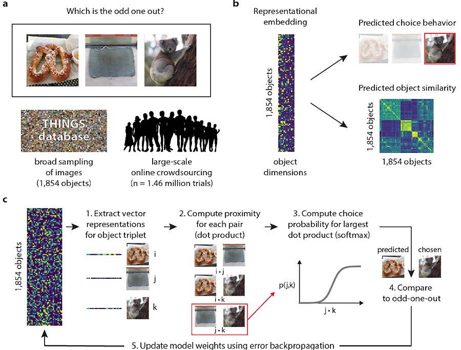 ������������� � ������������� ��������