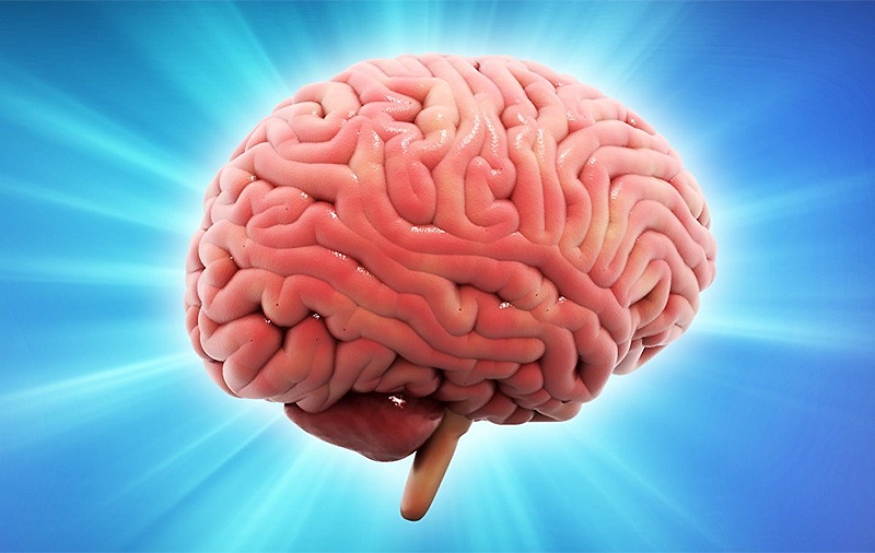 ������������� ����