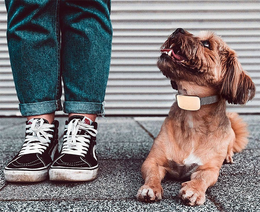 ������ ��������� ����������������� � ��������