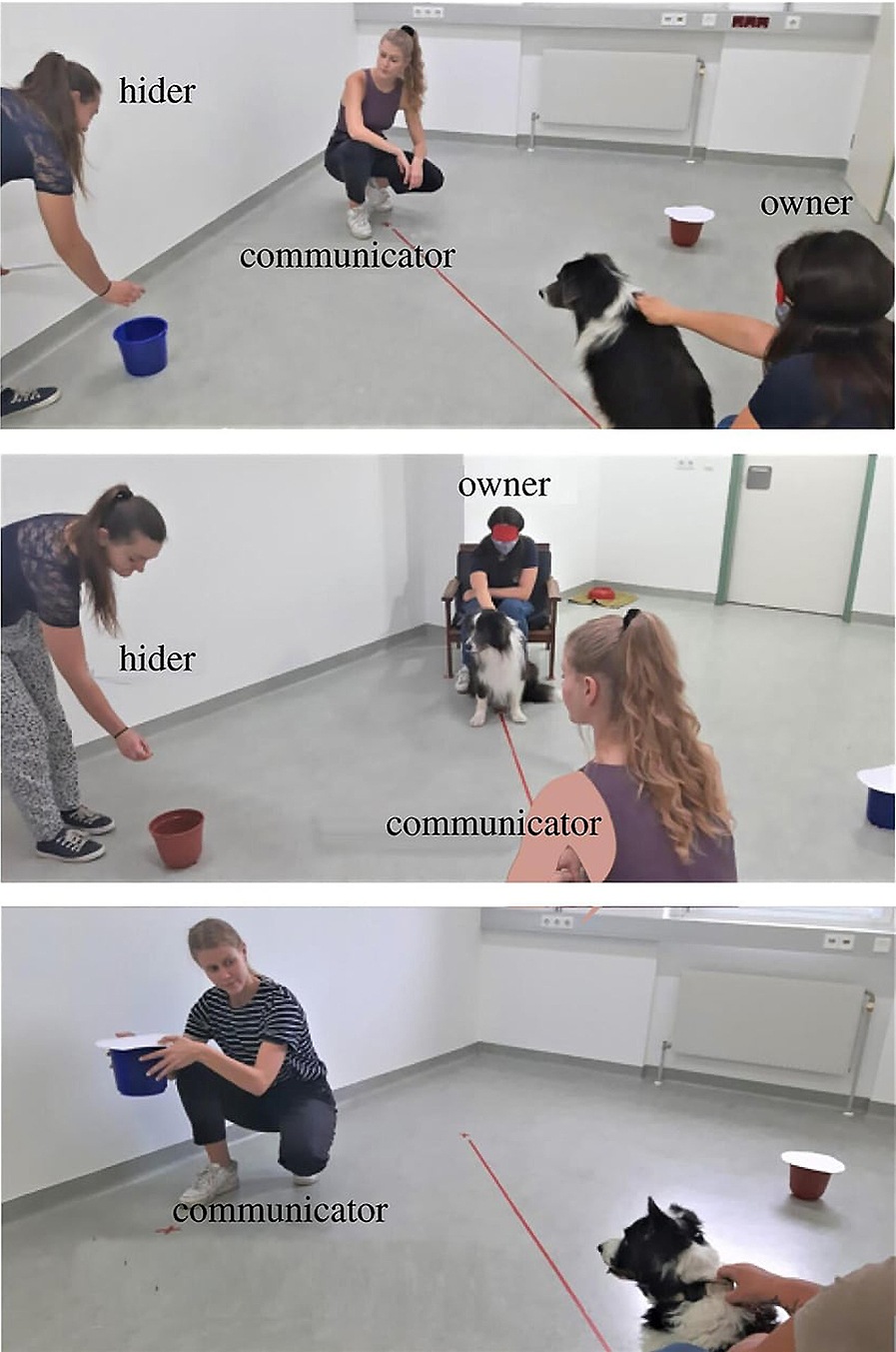 ���� �� ������ ��������� � �����