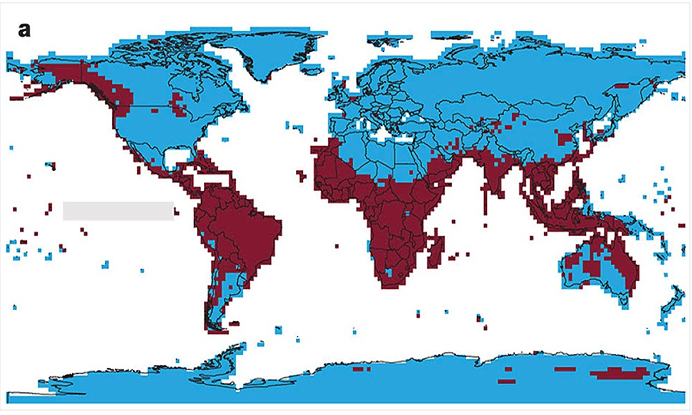 ������� ���-������