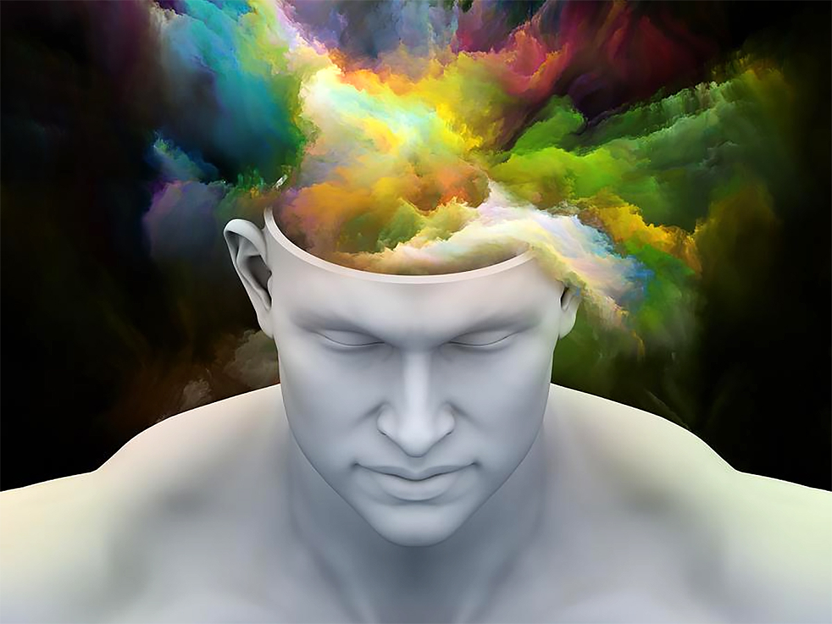 ���� ������ ����� ���������� ������