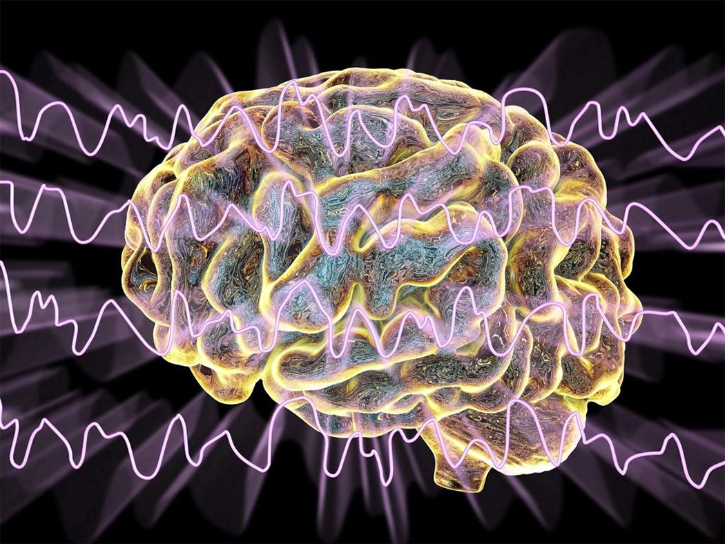 �����-����� �����