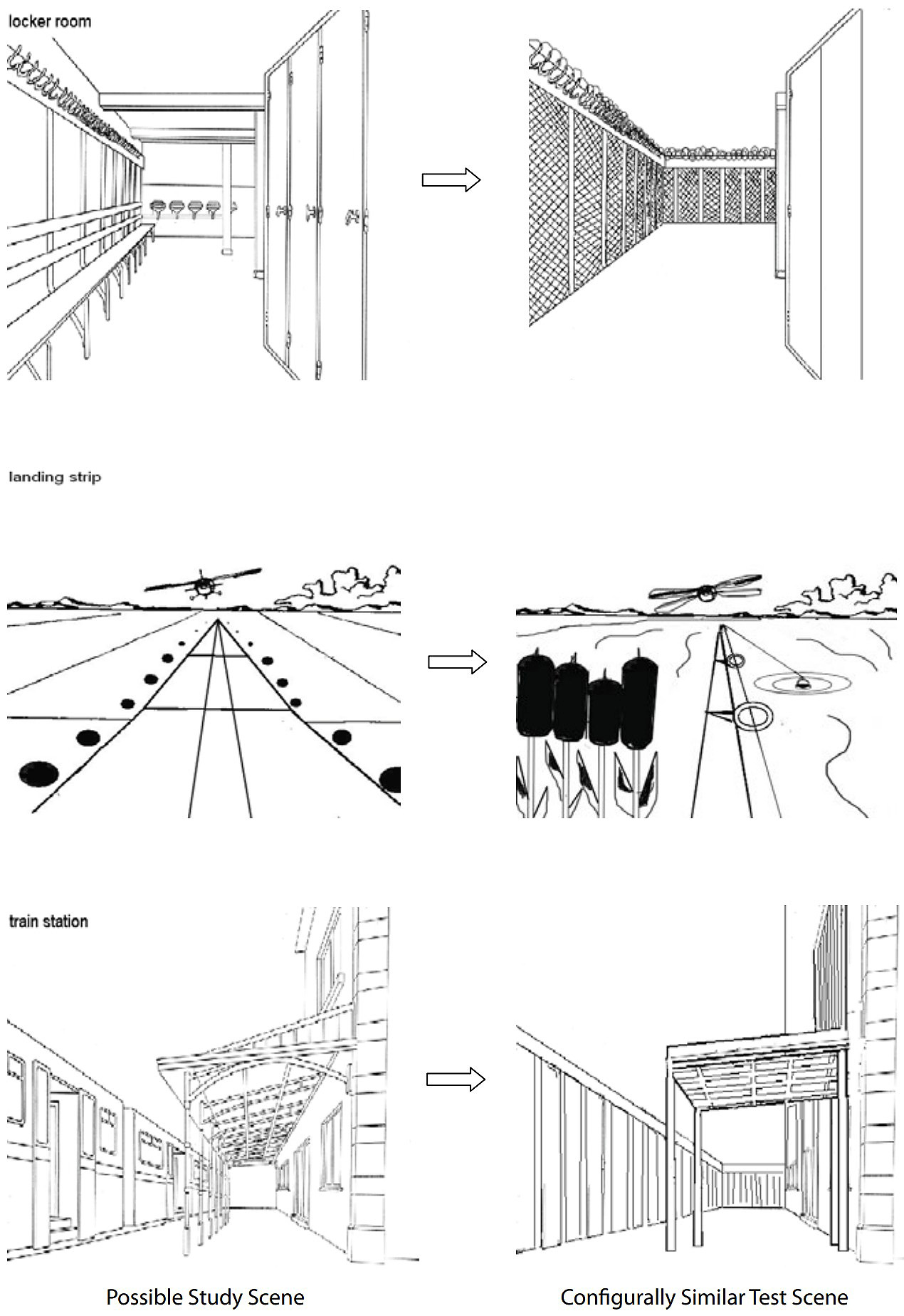 �����, ���������� ������� ������