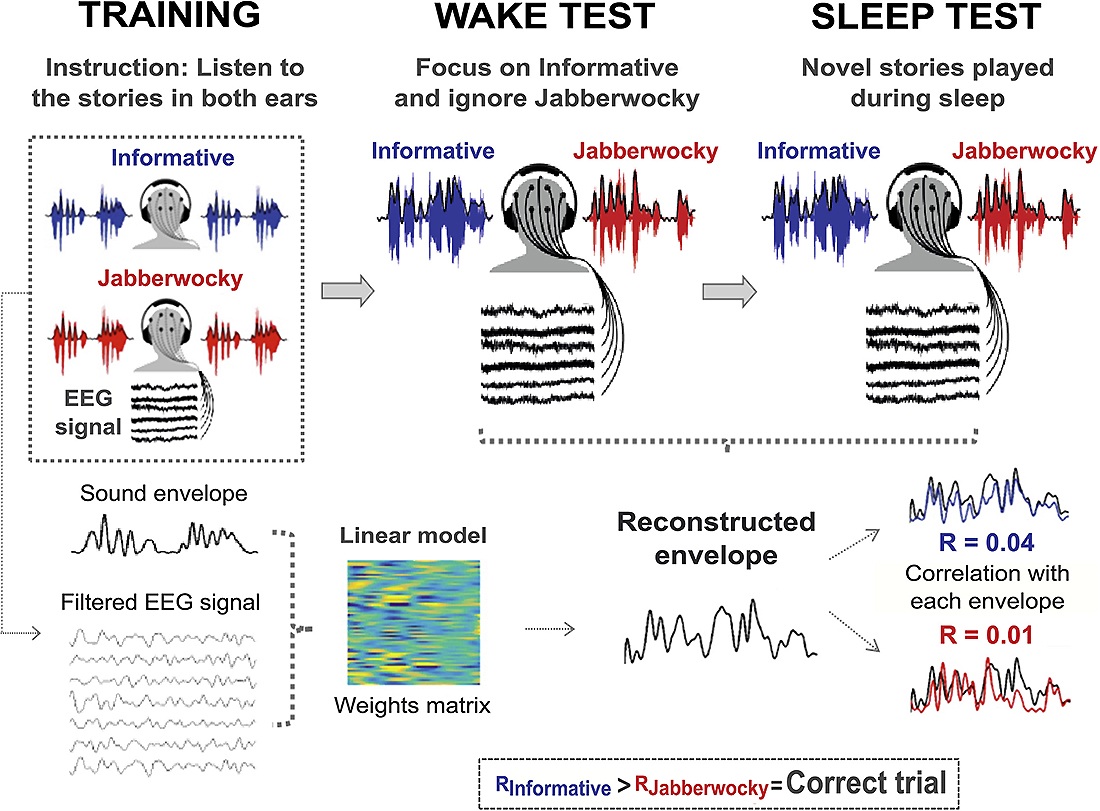 �������� ����������