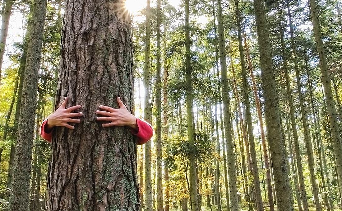 ������������� ��������