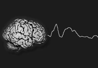 ERP ��� �����