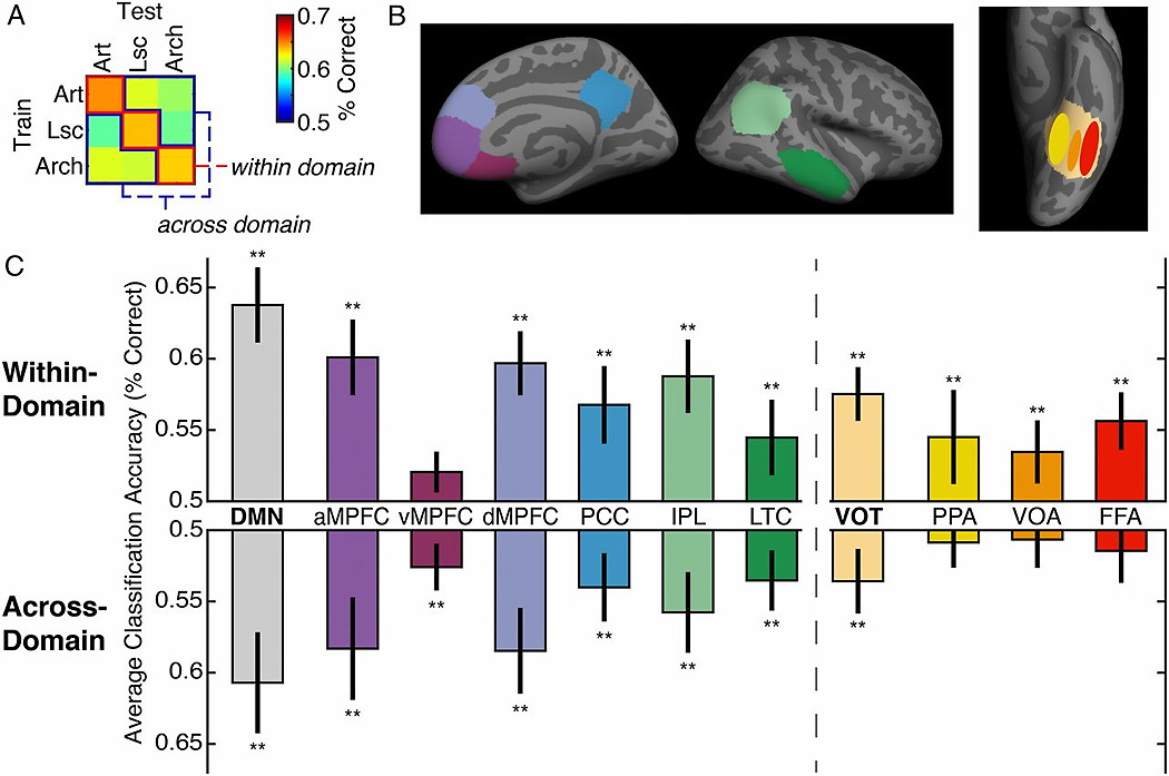 визуальная обработка информации мозгом