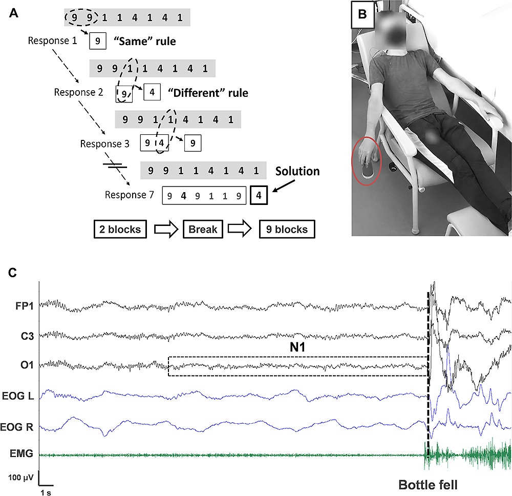 ������ �������� �� ����� ���������