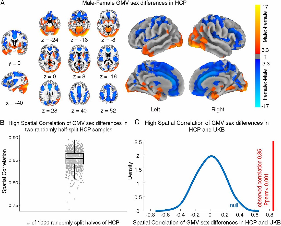 ����� ������ �������� � ����� ������ � ������