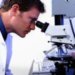 ������ ���������