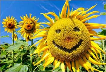 ���������� �����