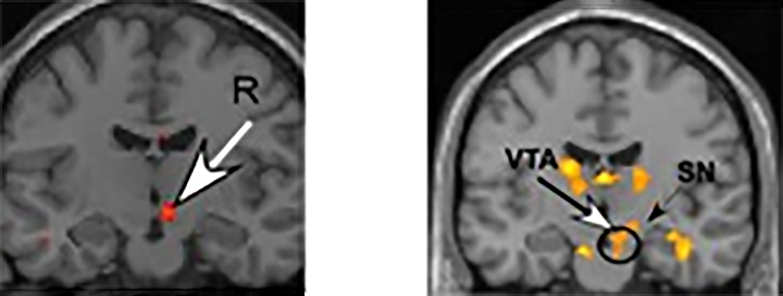 ��������� ������ ���������� � �����