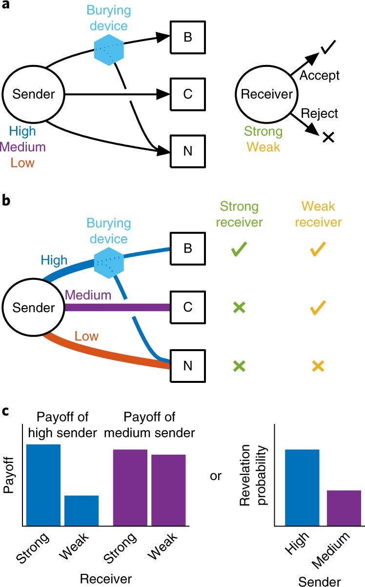 signal-burying game, ���������� � ����� ������ ������ ���