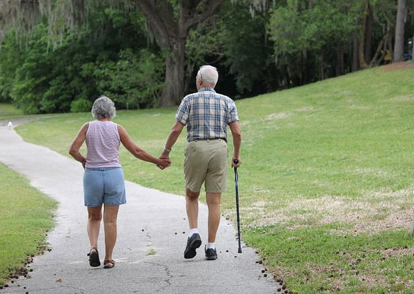 ������ ������