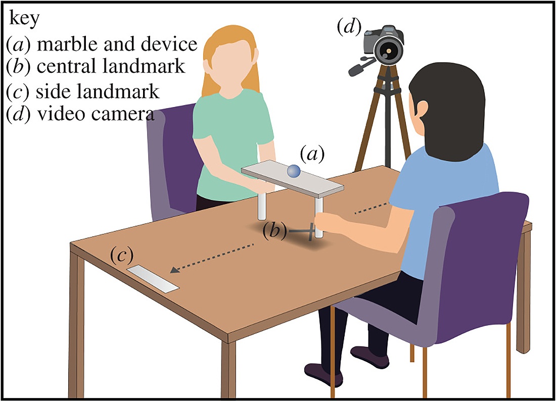 ������ � ���������� ������������