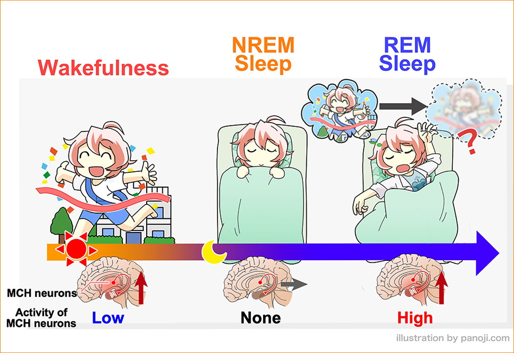 �������� ��������� ������������