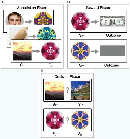 принятие решений