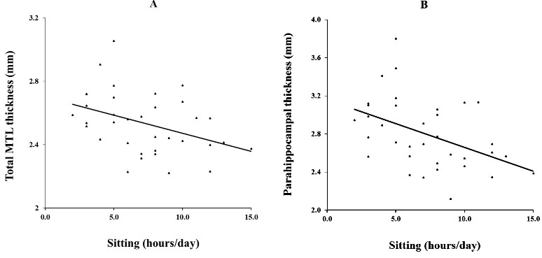 ������������ ������