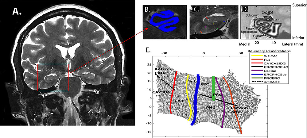 ����������������� ������
