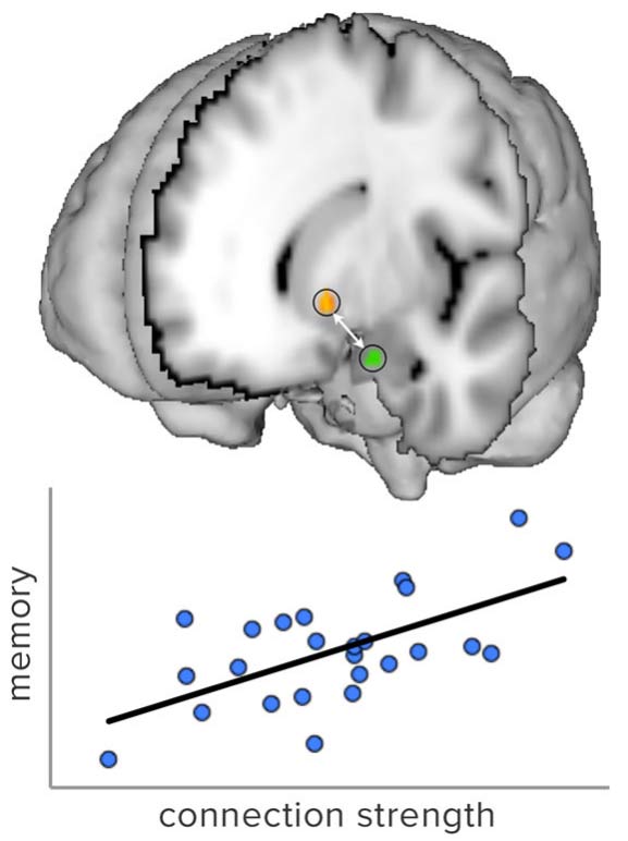 ����������, ���������������