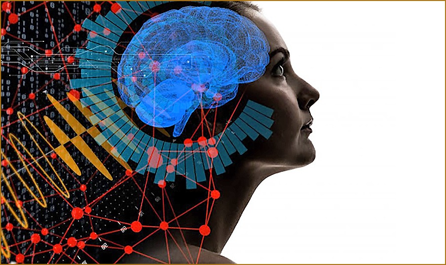 мозг и чувство идентичности