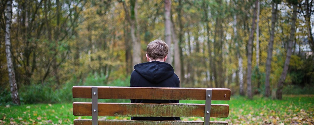 ������� ����������� �� ��������