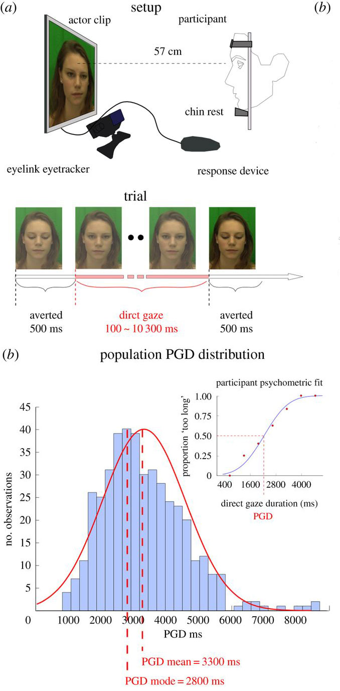 ������������ �������