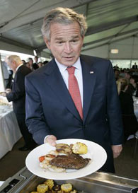 ��� ���������������