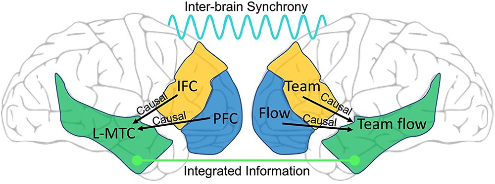 мозговая активность в состоянии потока